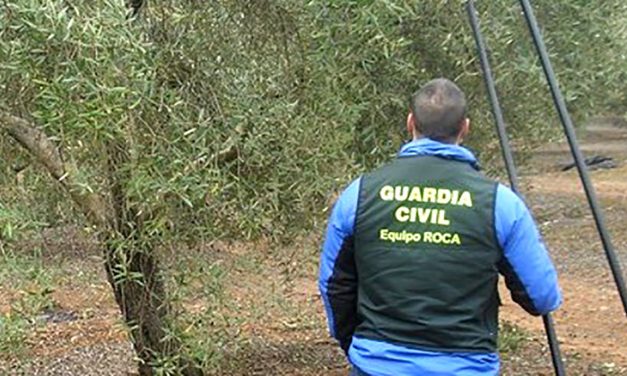 La Guardia Civil detiene a tres personas e investiga a otras cuatro, como presuntos autores de hurto continuado de aceituna