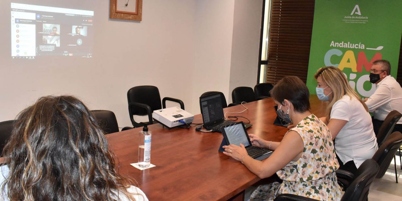 Las consejerías de Agricultura y Salud avanzan en el dispositivo para una recolección segura de la aceituna junto con el sector agrícola