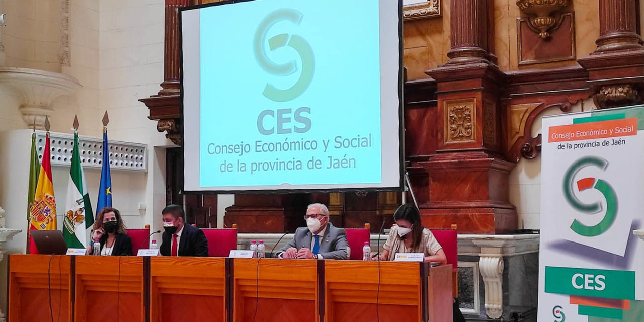 El pleno del CES conoce qué es la ITI y no son fondos añadidos