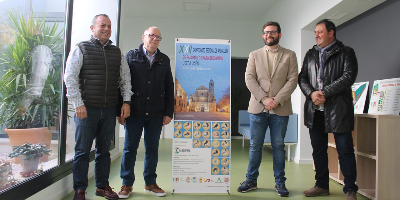 ÚBEDA SE PREPARA PARA ACOGER EL XXII CAMPEONATO REGIONAL DE ANDALUCÍA DE PALOMAS BUCHONAS