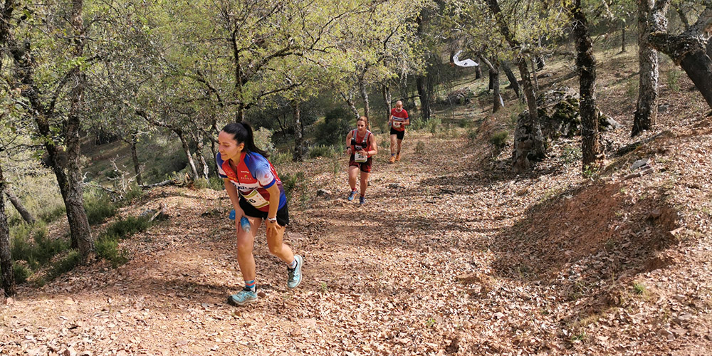 Diputación comienza mañana dos de los programas deportivos que cuentan con mayor participación