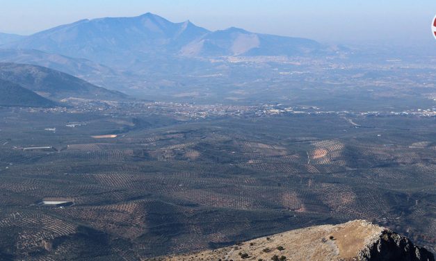 La Conferencia Internacional sobre Sostenibilidad en el Cultivo del Olivo se celebrará los días 25 y 26 de septiembre en Úbeda